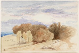 Arundel Park by Myles Birket Foster